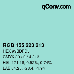 Color code: RGB 155 223 213 | qconv.com