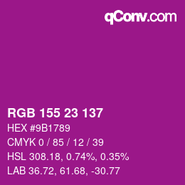 颜色代码: RGB 155 23 137 | qconv.com