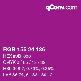 Color code: RGB 155 24 136 | qconv.com