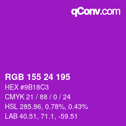 Color code: RGB 155 24 195 | qconv.com