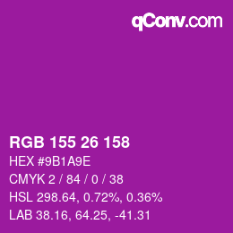 Color code: RGB 155 26 158 | qconv.com