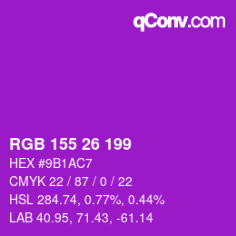 Color code: RGB 155 26 199 | qconv.com