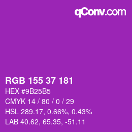 Color code: RGB 155 37 181 | qconv.com