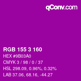 Color code: RGB 155 3 160 | qconv.com