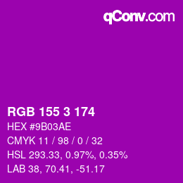カラーコード: RGB 155 3 174 | qconv.com