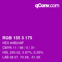 颜色代码: RGB 155 3 175 | qconv.com