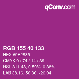 Color code: RGB 155 40 133 | qconv.com