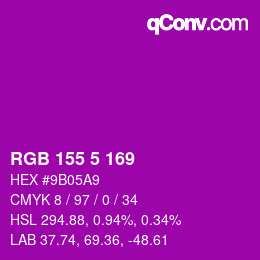 カラーコード: RGB 155 5 169 | qconv.com
