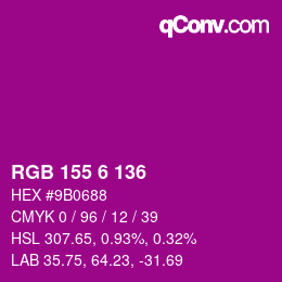 カラーコード: RGB 155 6 136 | qconv.com