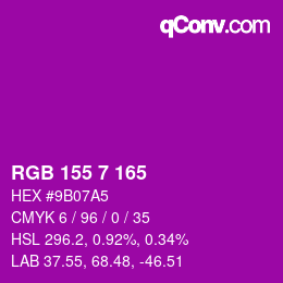 カラーコード: RGB 155 7 165 | qconv.com
