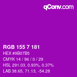 カラーコード: RGB 155 7 181 | qconv.com