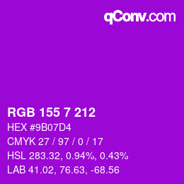 Farbcode: RGB 155 7 212 | qconv.com
