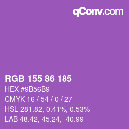 Farbcode: RGB 155 86 185 | qconv.com