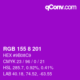 Color code: RGB 155 8 201 | qconv.com