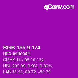 カラーコード: RGB 155 9 174 | qconv.com