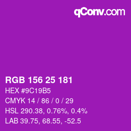 Color code: RGB 156 25 181 | qconv.com