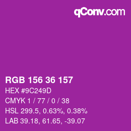Color code: RGB 156 36 157 | qconv.com