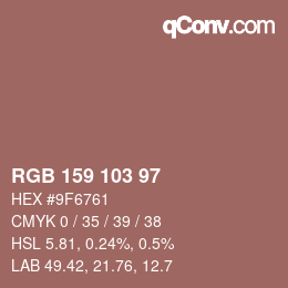 Color code: RGB 159 103 97 | qconv.com