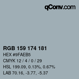 Color code: RGB 159 174 181 | qconv.com
