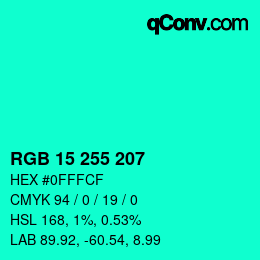 Color code: RGB 15 255 207 | qconv.com