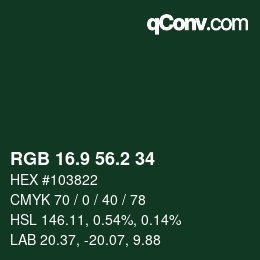 Color code: RGB 16.9 56.2 34 | qconv.com