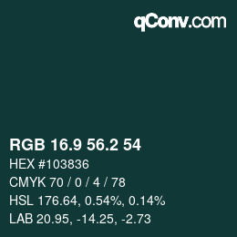 Color code: RGB 16.9 56.2 54 | qconv.com
