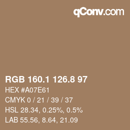 Color code: RGB 160.1 126.8 97 | qconv.com