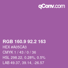 カラーコード: RGB 160.9 92.2 163 | qconv.com