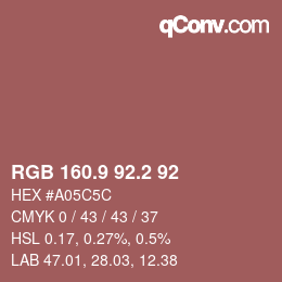 Color code: RGB 160.9 92.2 92 | qconv.com