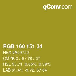 Color code: RGB 160 151 34 | qconv.com