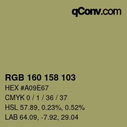 Color code: RGB 160 158 103 | qconv.com