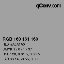 Color code: RGB 160 161 160 | qconv.com