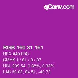 Color code: RGB 160 31 161 | qconv.com