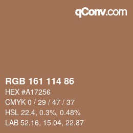 Color code: RGB 161 114 86 | qconv.com