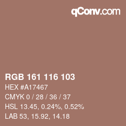 Color code: RGB 161 116 103 | qconv.com