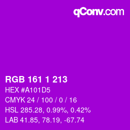 カラーコード: RGB 161 1 213 | qconv.com