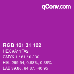 Color code: RGB 161 31 162 | qconv.com