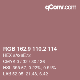 Color code: RGB 162.9 110.2 114 | qconv.com