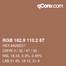 カラーコード: RGB 162.9 110.2 87 | qconv.com
