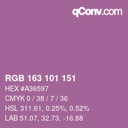 Color code: RGB 163 101 151 | qconv.com