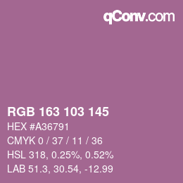 颜色代码: RGB 163 103 145 | qconv.com