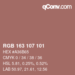 Color code: RGB 163 107 101 | qconv.com