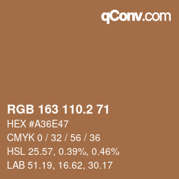 カラーコード: RGB 163 110.2 71 | qconv.com
