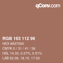 Color code: RGB 163 112 96 | qconv.com