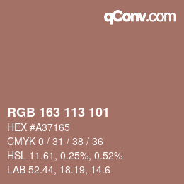 Color code: RGB 163 113 101 | qconv.com