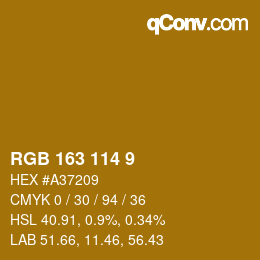 Color code: RGB 163 114 9 | qconv.com