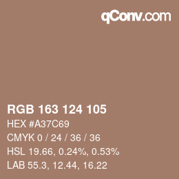 Color code: RGB 163 124 105 | qconv.com
