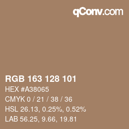 Color code: RGB 163 128 101 | qconv.com