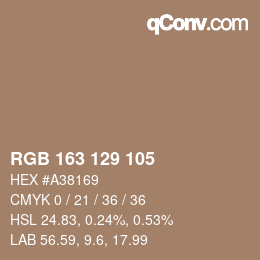 Color code: RGB 163 129 105 | qconv.com