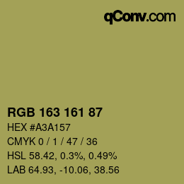 Color code: RGB 163 161 87 | qconv.com